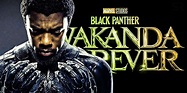 Wakanda Forever: Black Panther 2's New Title Explained (& Why It's Perfect)