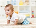 crawling baby boy indoors - Shaping Outcomes