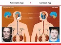 Neurostress - Adrenalin- und Cortisol-Typen - DocCheck