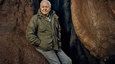 The Green Planet: Sir David Attenborough to present new BBC One ...