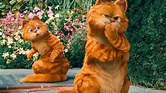 Garfield 2: trama, cast, trailer e streaming del film su Italia 1