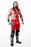 James Storm - Pro Wrestling Wiki - Divas, Knockouts, Results, Match ...