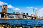 Cosas gratis que hacer en Nueva York | Holidayguru.es