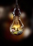 Light Bulb of Life on Behance | Light bulb art, Bulb photography ...