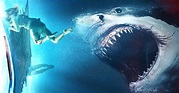 Alicia Silverstone Se Enfrentará a Salvajes Tiburones en la Nueva ...