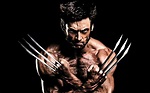 2013 The Wolverine Wallpapers | HD Wallpapers | ID #12740