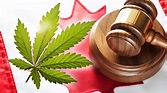 Marijuana Laws in Canada: What Do They Mean? | Pot TV