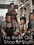 Watch The Bleak Old Shop of Stuff Online | Season 1 (2011) | TV Guide