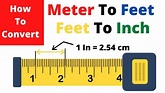 How Many Feet in One Meter - MiriamafeSolis