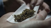 “Spice”: la nueva droga sintética de EEUU que parece marihuana y huele ...