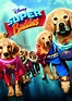 Supercuccioli - I veri supereroi (2013) | FilmTV.it