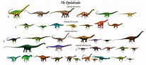 The Diplodocidae: 38 Genera in 4 Subfamilies | Prehistoric animals ...