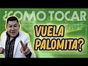 Vuela Palomita - Dilbert Aguilar - La Tribu - Acordes en guitarra - YouTube