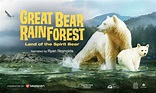 New IMAX Film, 'Great Bear Rainforest,' Reveals Wondrous North Pacific ...