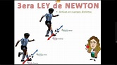 3er Ley de Newton - Acción y reacción - YouTube