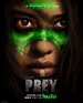 Prey: dónde y a qué hora estrena la nueva película de Depredador - QueVer