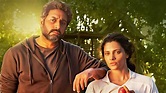 ‘Ghoomer’ movie review: Abhishek Bachchan and Saiyami Kher pitch it ...