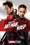 Ant-Man and the Wasp (2018) - Posters — The Movie Database (TMDb)