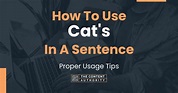 How To Use "Cat's" In A Sentence: Proper Usage Tips
