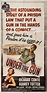 Under the Gun (1951) movie poster