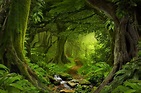 Tropical Jungle – prisvenligt fototapet – Photowall