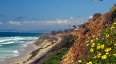 Del Mar Beach in Del Mar - Expedia.de