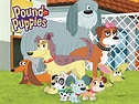 Lucky Pound Puppies : Imivbobiqo3ysm / He is named 'lucky' due to the ...
