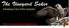 The Vineyard of the Saker: Which logo do you prefer? (UPDATED!)