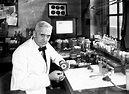 Hace 89 años Alexander Fleming descubrió la penicilina