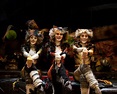 Visão | Musical "Cats", em Lisboa e no Porto: A tribo Jellicle está de ...