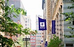 New York University Online Degree Program Partnership | 2U