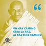 Las mejores 15 frases de Gandhi en el Día de la Paz - Aipc-pandora