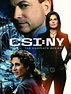 CSI: NY: The Complete Series: DVD et Blu-ray : Amazon.fr
