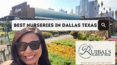 SEARCHING FOR THE BEST NURSERIES IN DALLAS TEXAS!!! RUIBAL’S PLANT ...