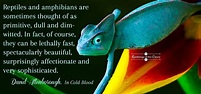 Reptiles and amphibians are sometimes thought of as primitive, dull and ...