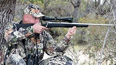 Los cuatro rifles económicos de 2015 ideales para la caza del ciervo ...