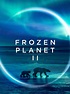 Frozen Planet II - Rotten Tomatoes