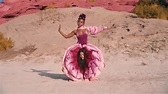 Janelle Monáe’s new “Pynk” music video depicts a vagtastic, lesbionic ...