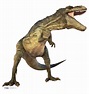 Tyrannosaurus rex | Wikia Dinosaurpedia | FANDOM powered by Wikia