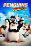 Penguins of Madagascar (2014) - Posters — The Movie Database (TMDB)