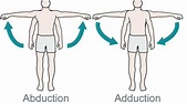 What is Abduction and Adduction? - YouTube