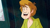 Shaggy Rogers (Scooby-Doo! Mystery Incorporated) - Scoobypedia, the ...