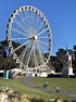 Golden Gate Park Ferris Wheel-Sure, OK, Fine, have fun. - Small Car ...