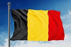 Bandera de Bélgica Significado Historia y Protocolo | Banderade.info