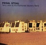 Terry Allen & The Panhandle Mystery Band - Pedal Steal/Rollback (1988 ...