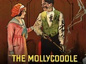 The Mollycoddle (1920) - Rotten Tomatoes