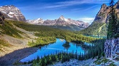 Rocky Mountain National Park | Information & Facts | Tiverton Foundation