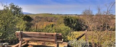 10 Interesting And Awesome Facts About Portola Valley, California ...