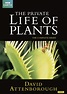 Amazon.com: Private Life Of Plants: Movies & TV