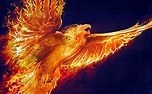 Fantasy Phoenix HD Wallpaper | Hintergrund | 1920x1200